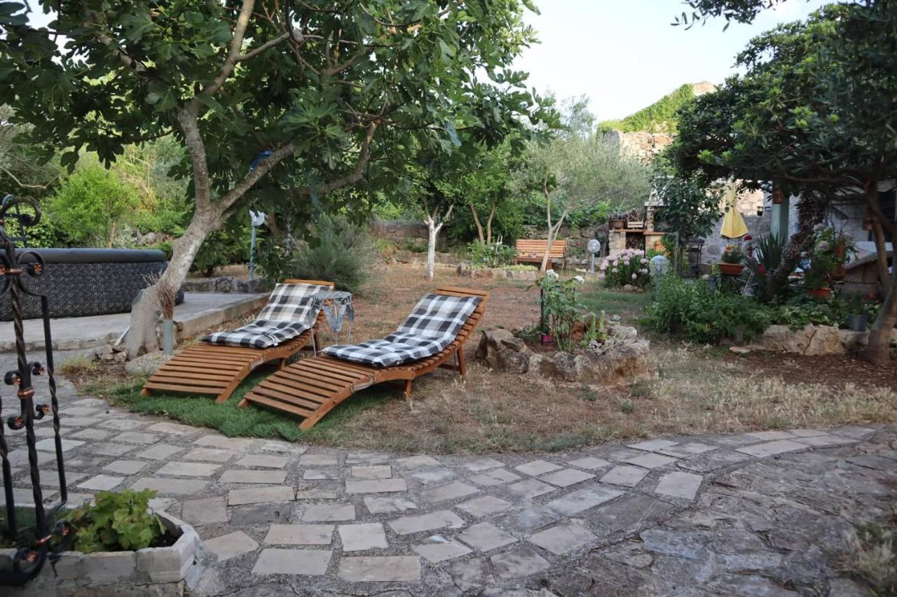 Apartamento Branimir *