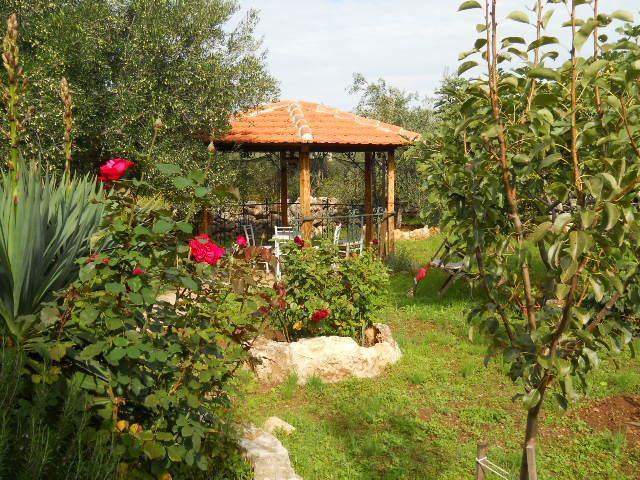 Branimir Apartamento *