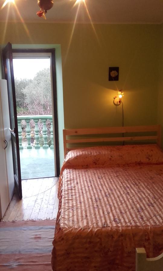 Apartment Branimir Zadar