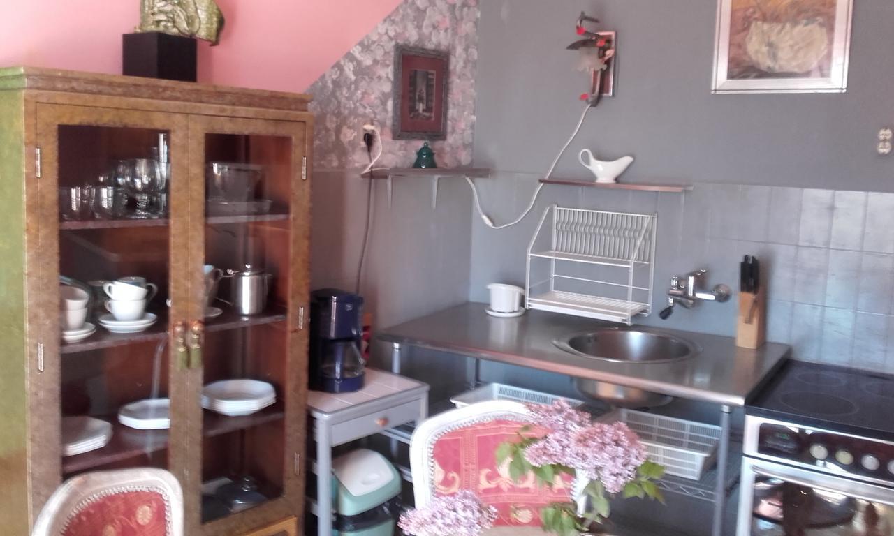 Apartment Branimir